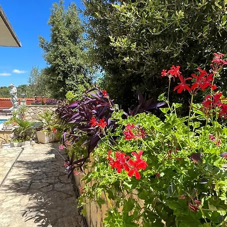 Gorana Апартаменты *