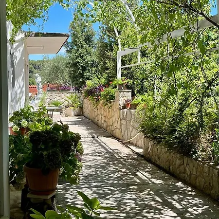 Apartment Gorana