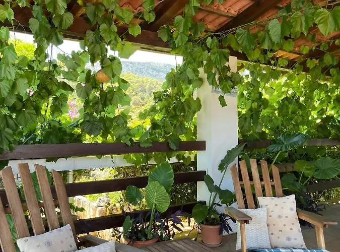 Gorana Jelsa (Hvar)